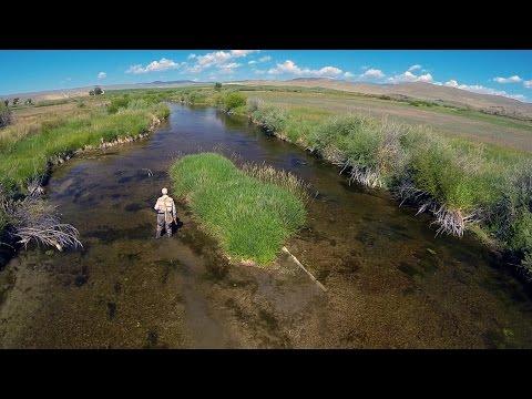 HATCH - BIG SKY PMDs - Montana Fly Fishing By Todd Moen
